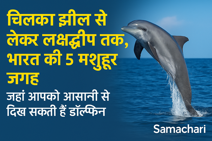 चिल्का झील से लेकर लक्षद्वीप तक: भारत की 5 मशहूर जगहें, जहां आसानी से दिख सकती हैं डॉल्फिन