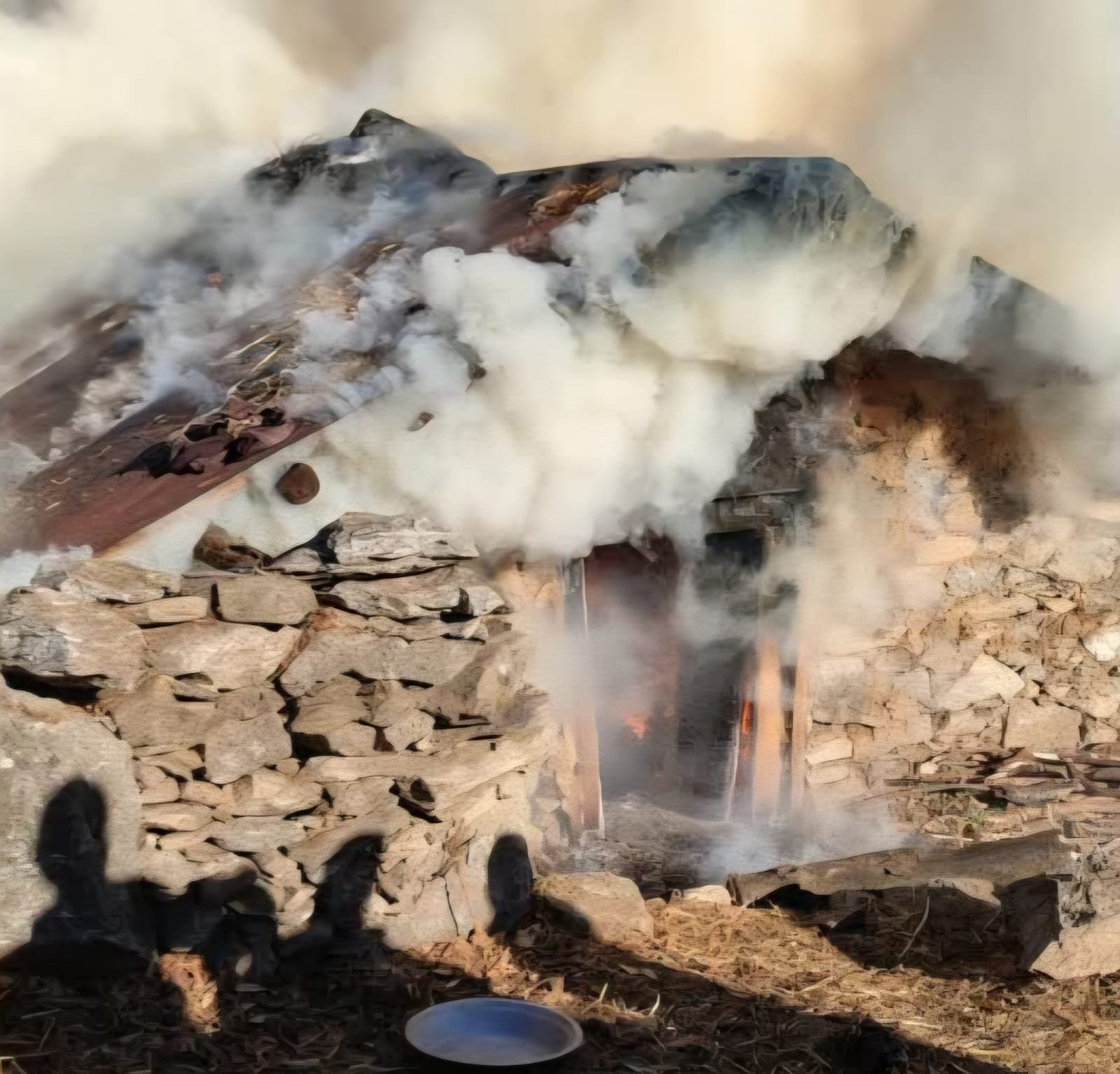 भटवाड़ी ब्लॉक के सिल्ला गांव में गौशाला में भीषण आग,6 मवेशियों की मौत।