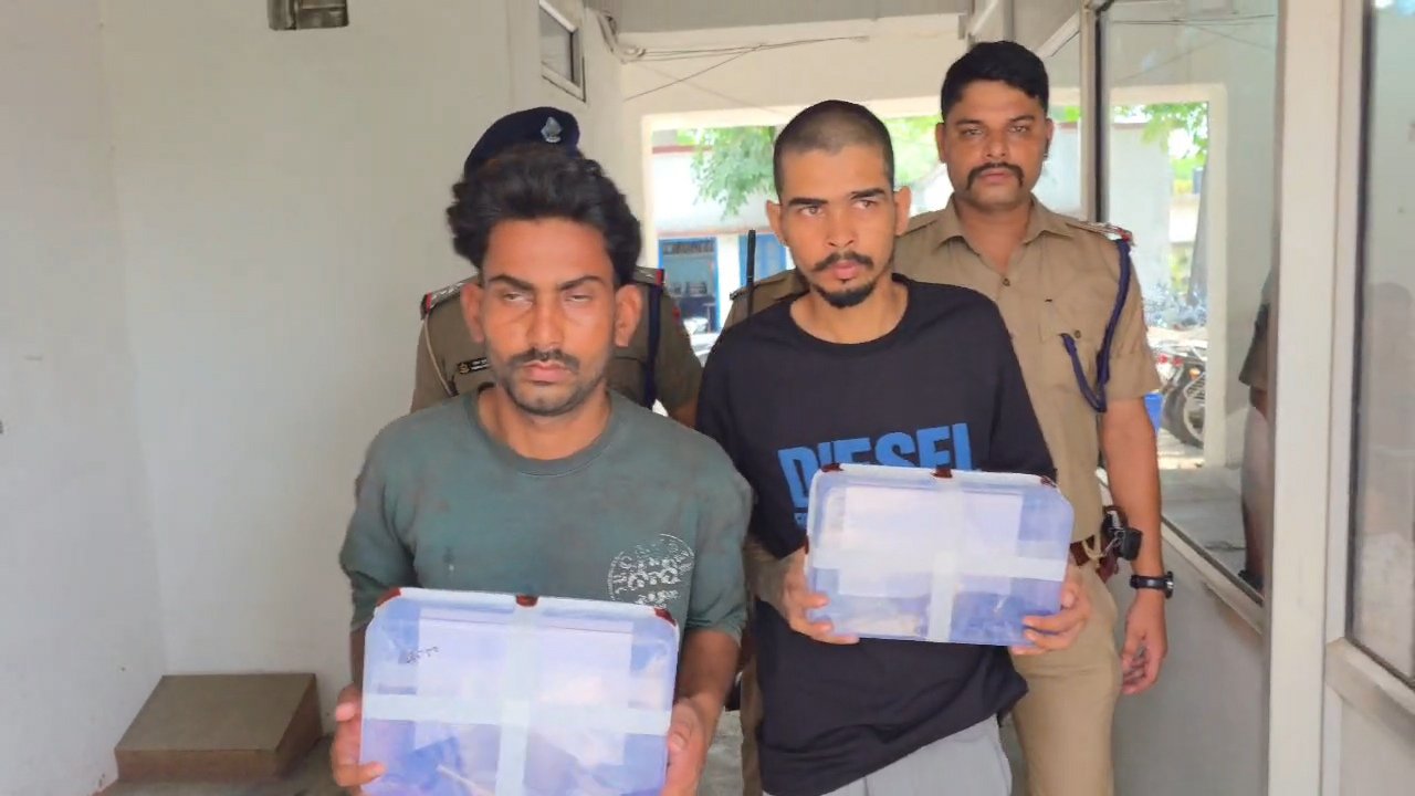 ऑपरेशन प्रहार का बड़ा एक्शन: किच्छा हत्याकांड में नामजद दो आरोपी अवैध तमंचों के साथ गिरफ्तार।
